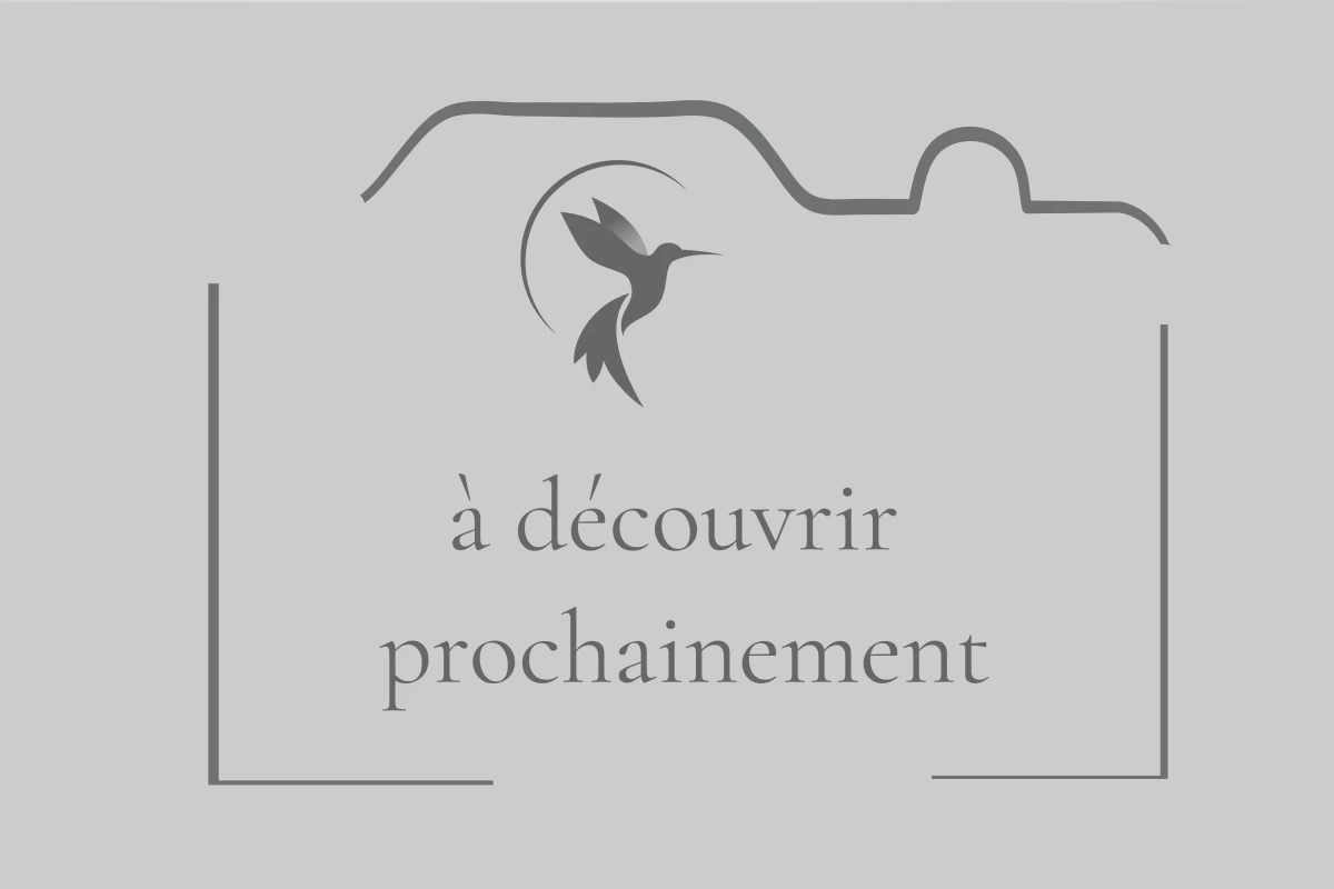 A découvrir